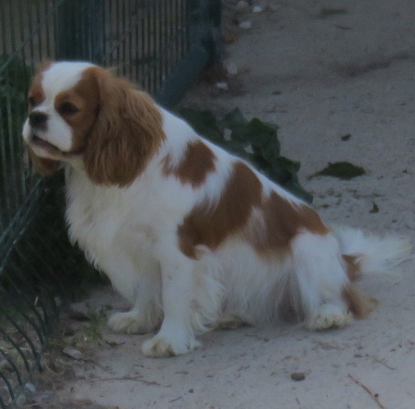 Publication : de la maison du ryez