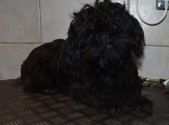 Publication : de la maison du ryez