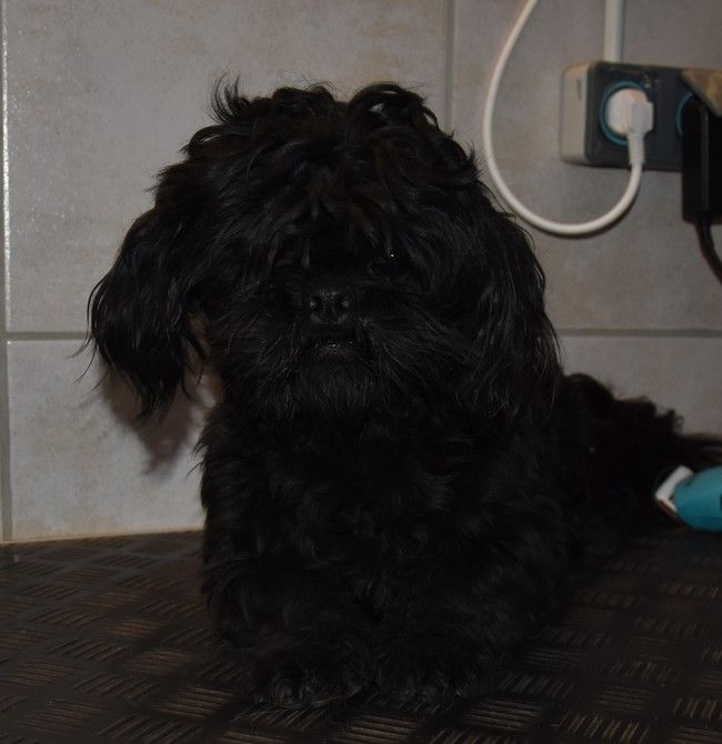 Publication : de la maison du ryez