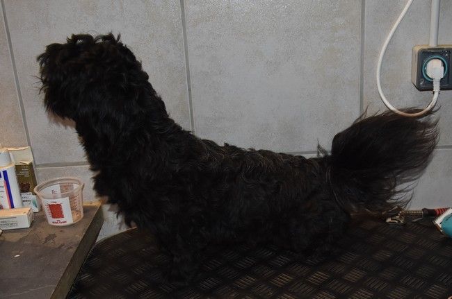 Publication : de la maison du ryez