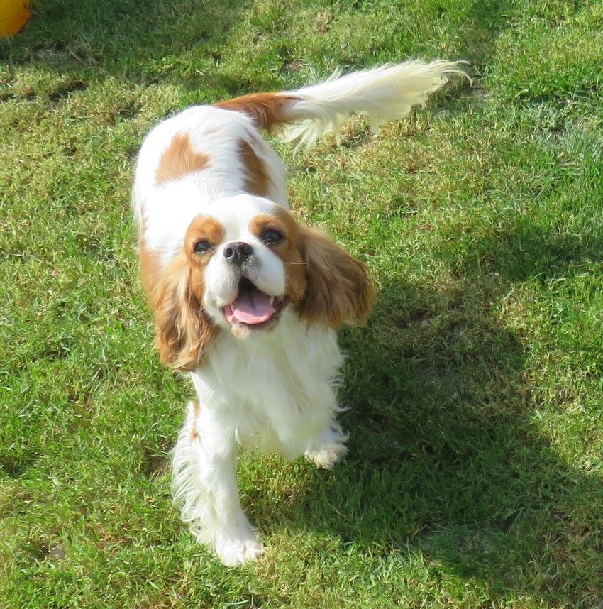 Publication : de la maison du ryez