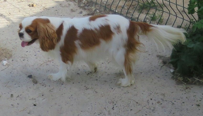 Publication : de la maison du ryez