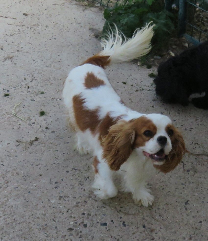 Publication : de la maison du ryez