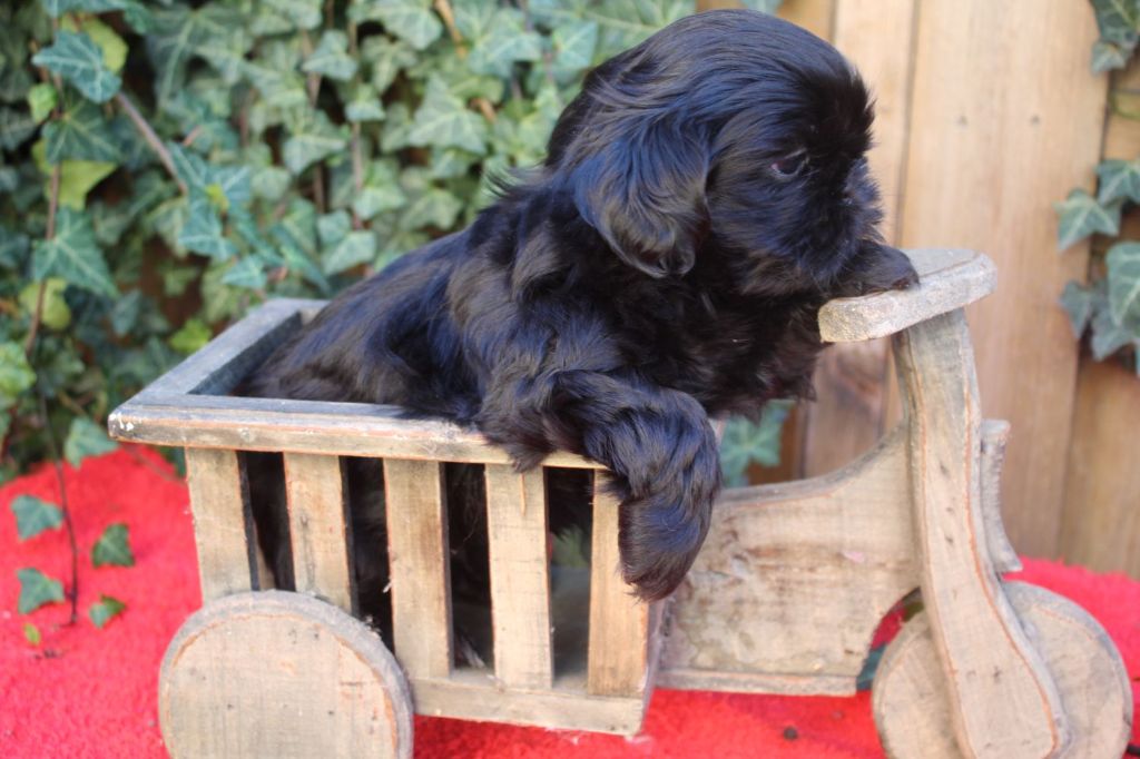 Publication : de la maison du ryez