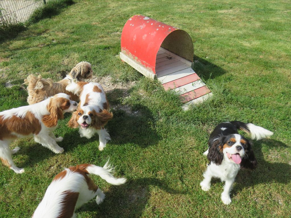 Publication : de la maison du ryez