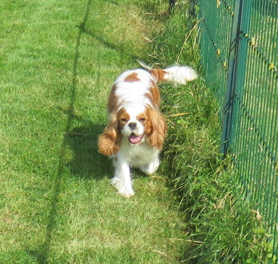 Publication : de la maison du ryez