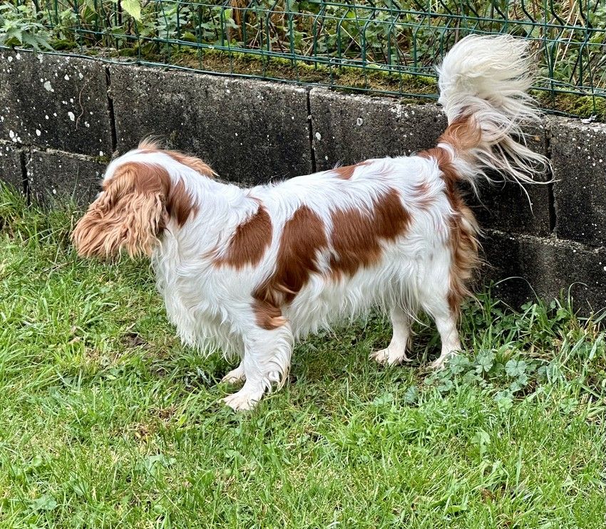 Publication : de la maison du ryez