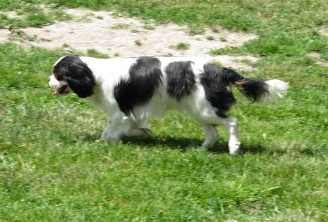 Publication : de la maison du ryez Auteur : M Natiez