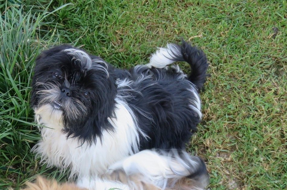 Valkyrie de la maison du ryez