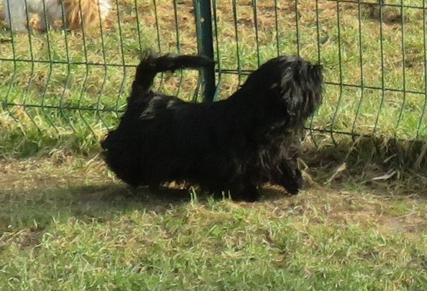 Publication : de la maison du ryez