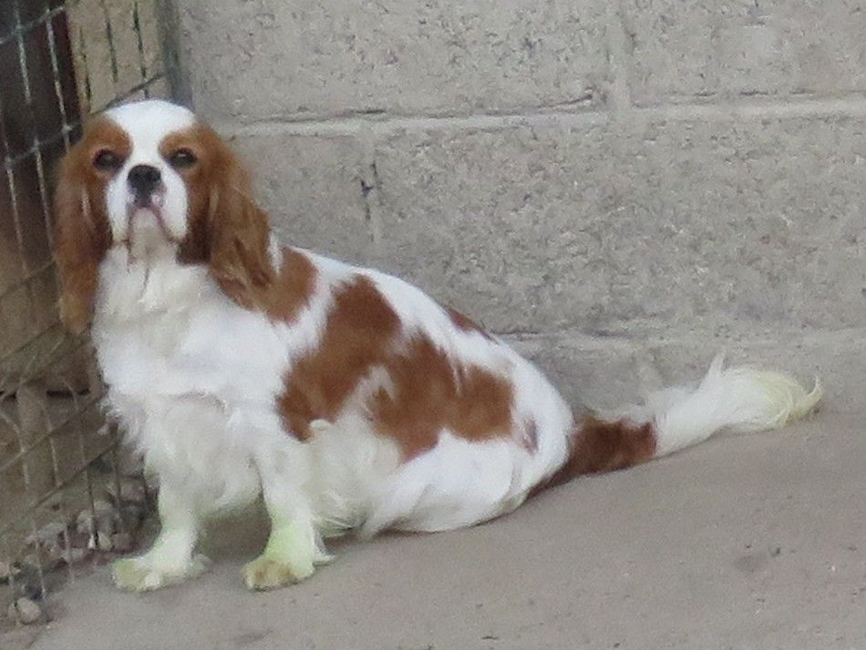 Publication : de la maison du ryez