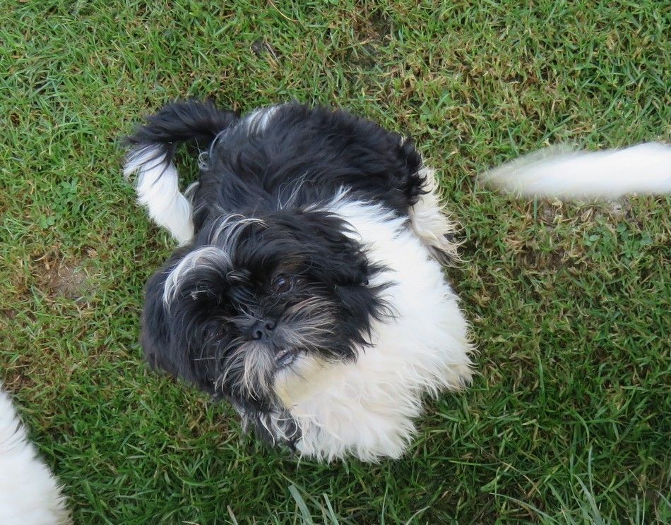 Valkyrie de la maison du ryez