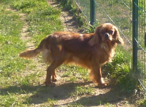 Publication : de la maison du ryez