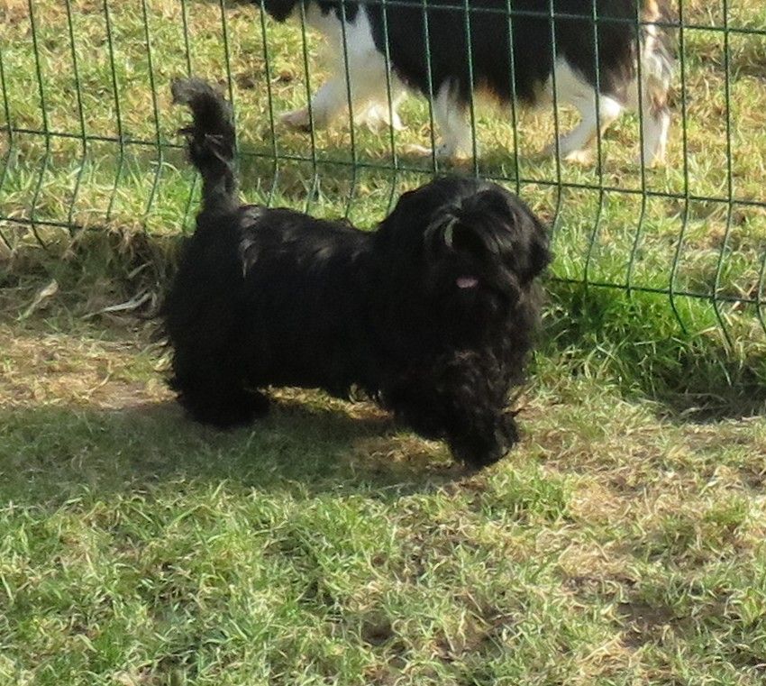 Publication : de la maison du ryez