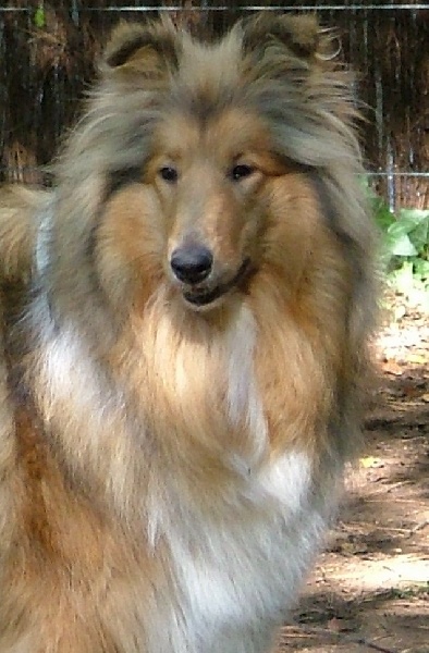 Tzara blonde des stuarts de boisbelle