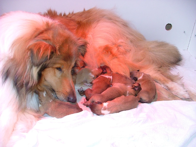 Believe in love des stuarts de boisbelle