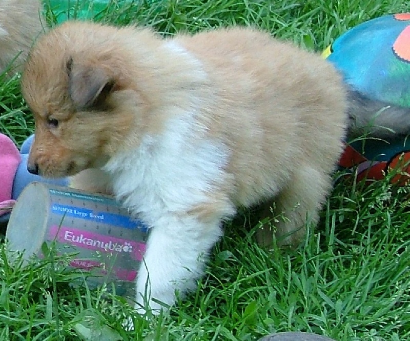 Believe in love des stuarts de boisbelle