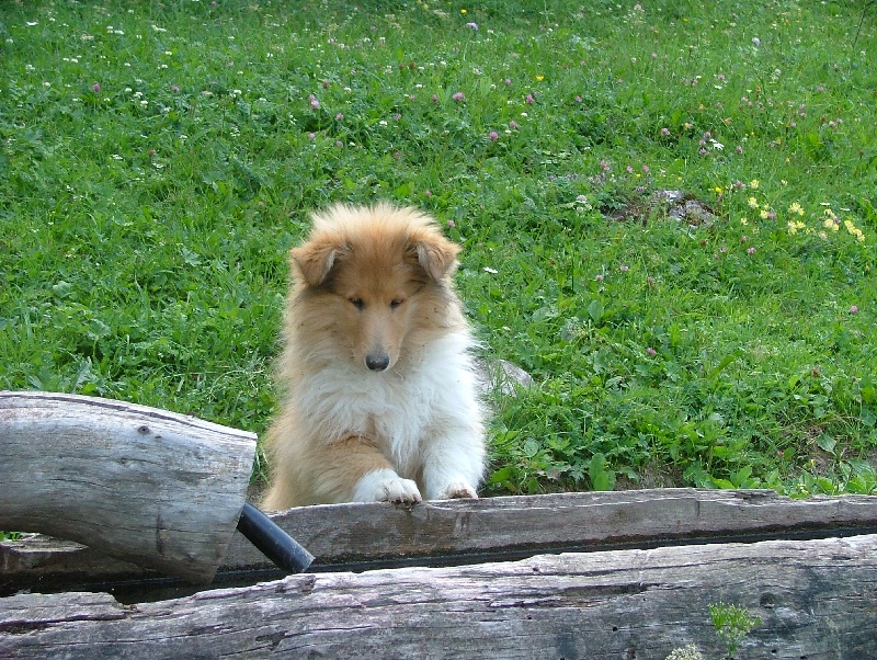 Believe in love des stuarts de boisbelle