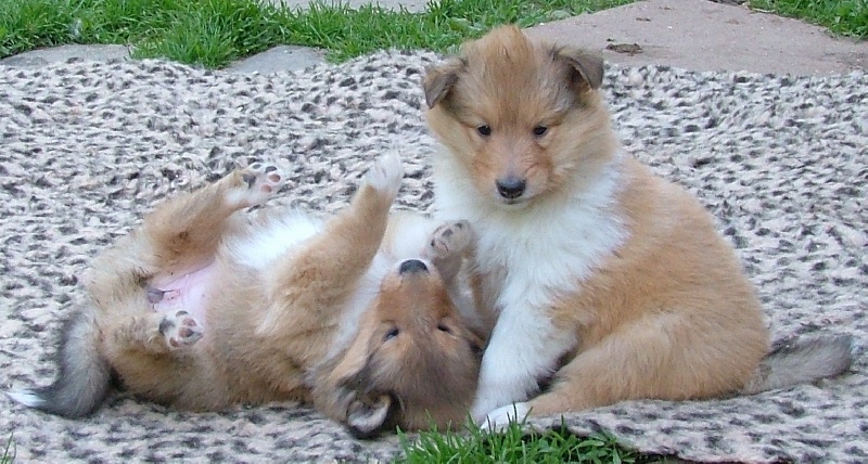 Believe in love des stuarts de boisbelle