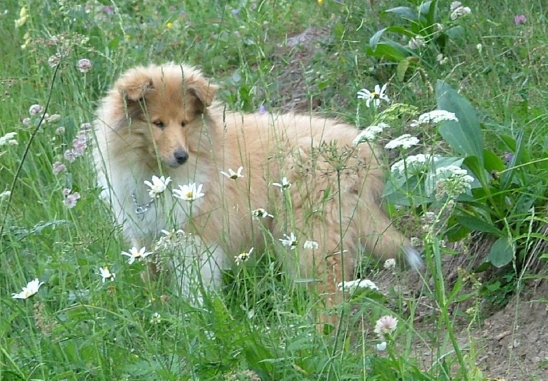 Believe in love des stuarts de boisbelle