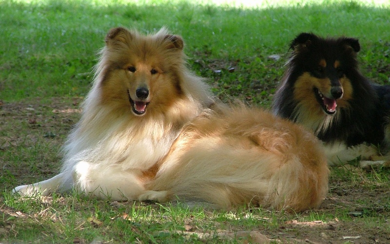 Believe in love des stuarts de boisbelle