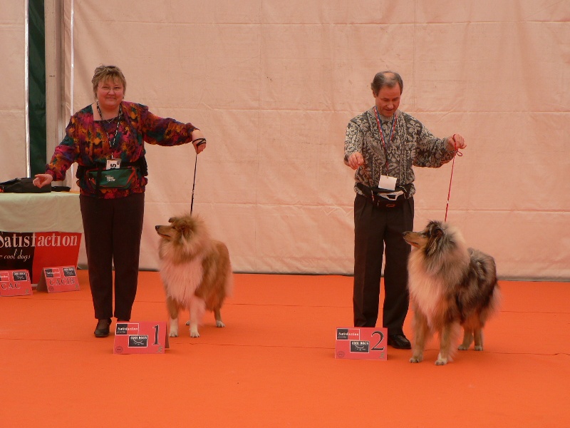 Believe in love des stuarts de boisbelle