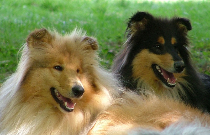 Believe in love des stuarts de boisbelle