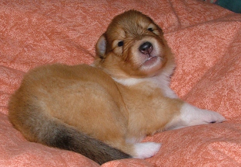 Believe in love des stuarts de boisbelle