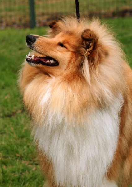 Believe in love des stuarts de boisbelle