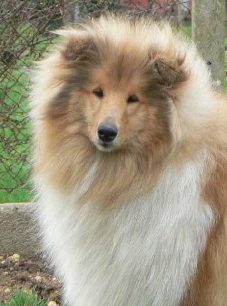 Believe in love des stuarts de boisbelle