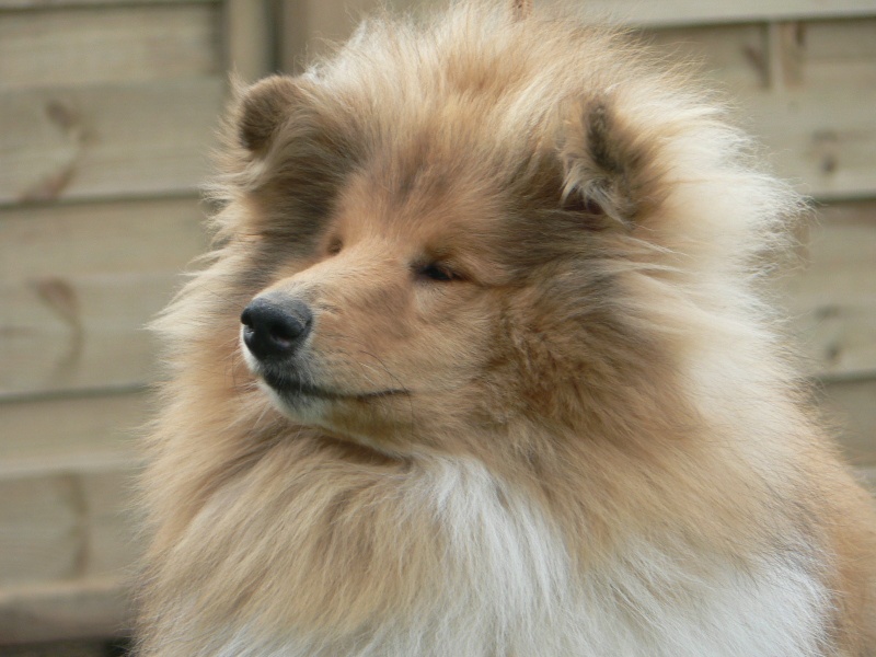 Believe in love des stuarts de boisbelle