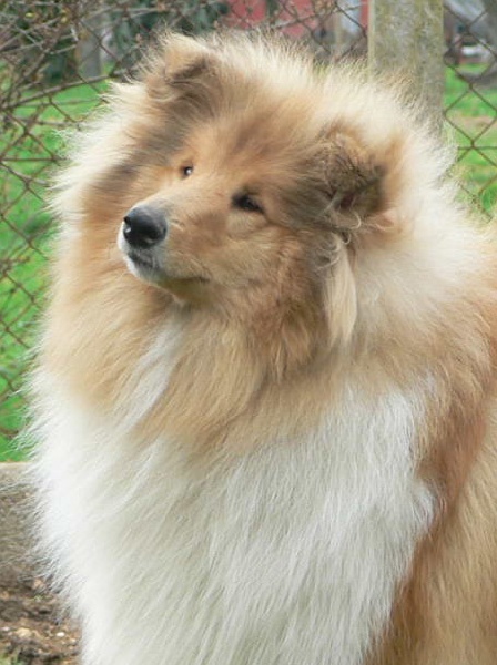 Believe in love des stuarts de boisbelle