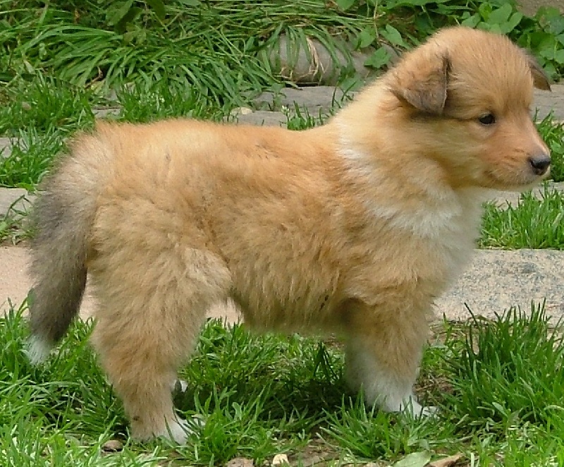 Believe in love des stuarts de boisbelle