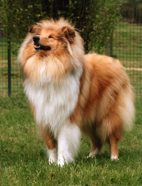 Believe in love des stuarts de boisbelle