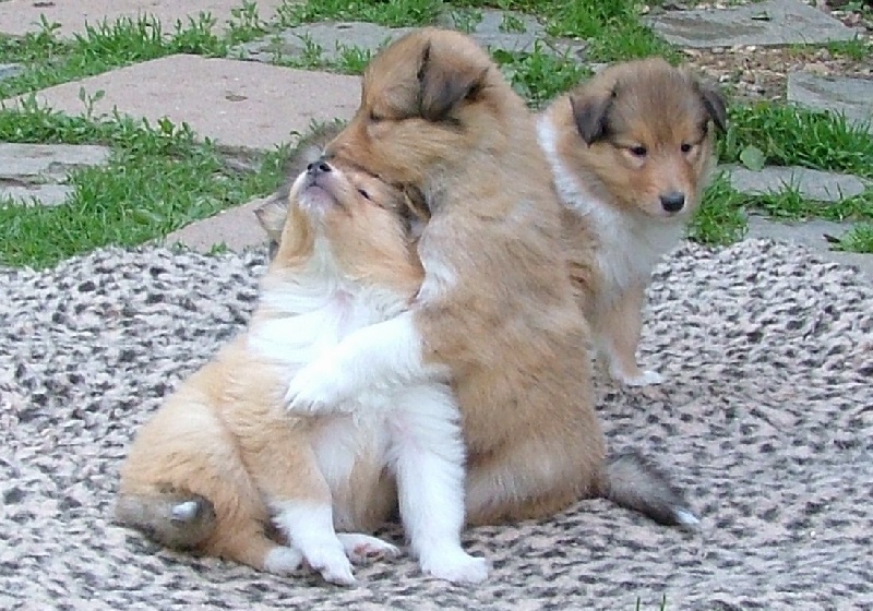 Believe in love des stuarts de boisbelle