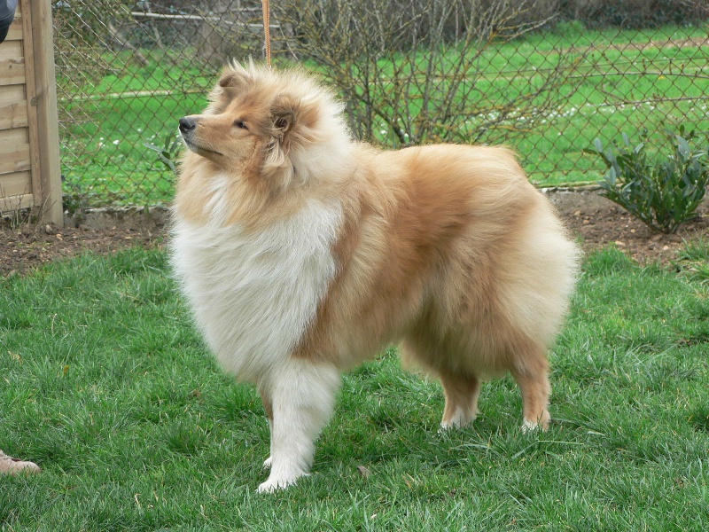 Believe in love des stuarts de boisbelle