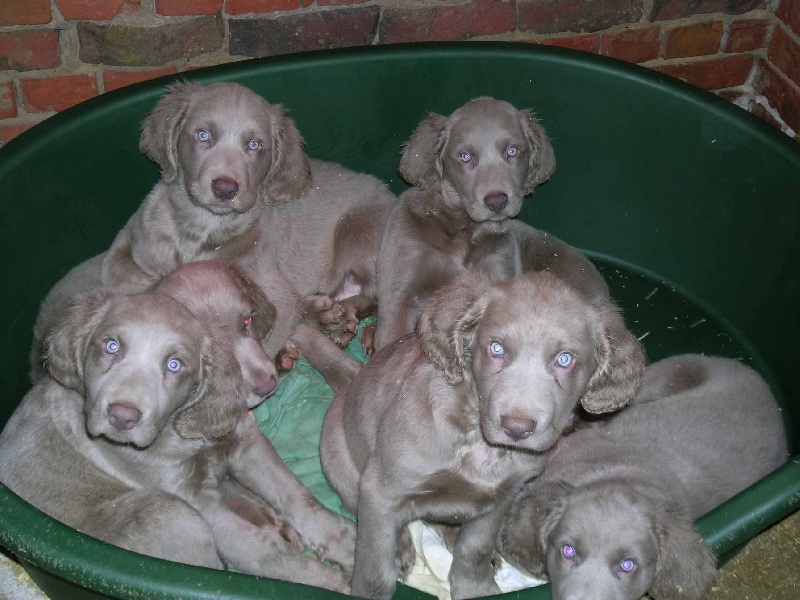 Publication : du domaine de guiaud