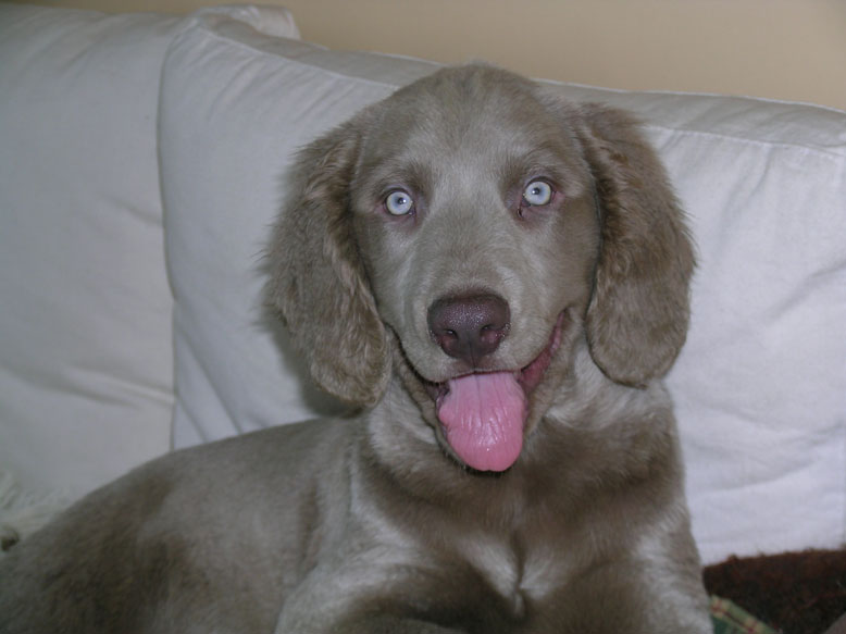 Publication : du domaine de guiaud