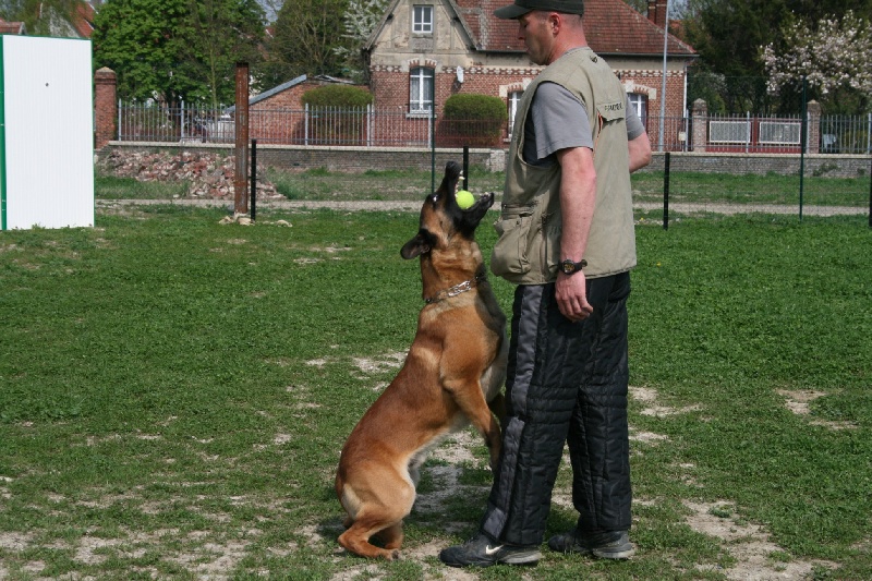 Publication : du domaine de Louxor