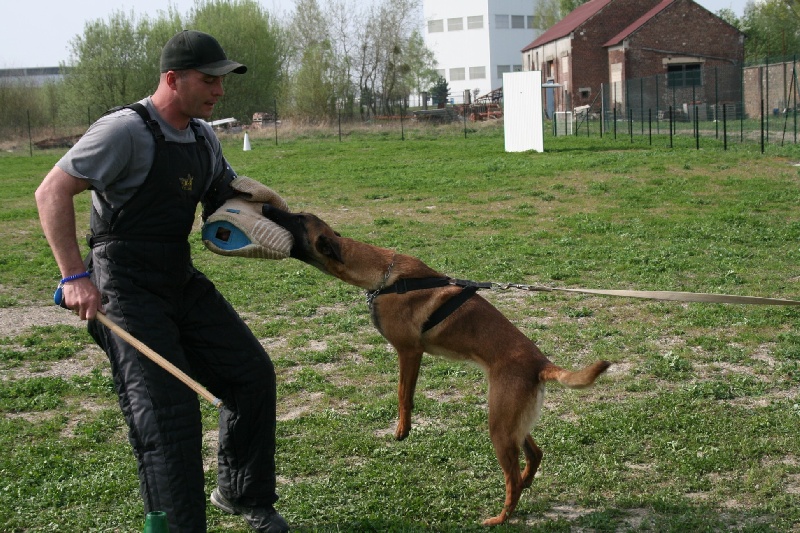 Publication : du domaine de Louxor