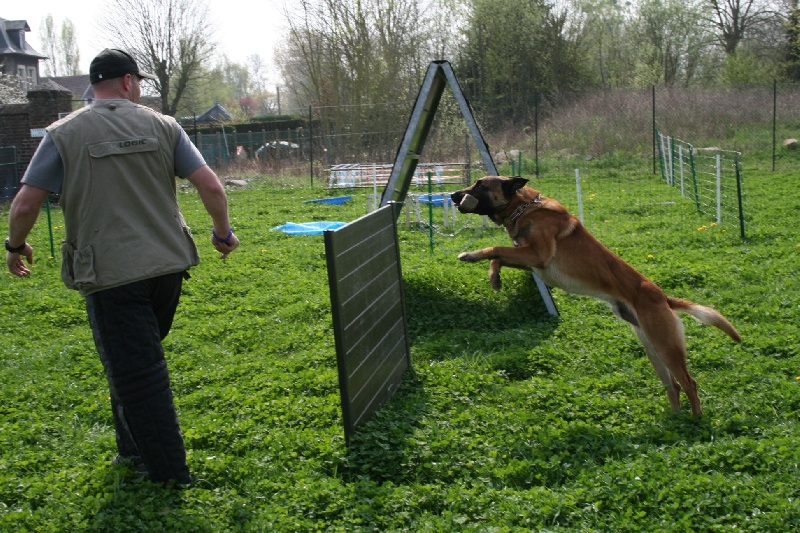 Publication : du domaine de Louxor