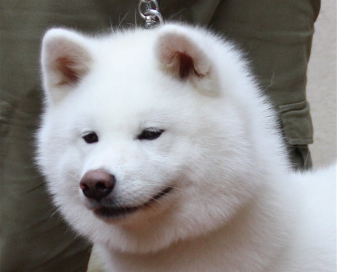 Publication : du Clos des Chtis Auteur : Team du clos des Chtis