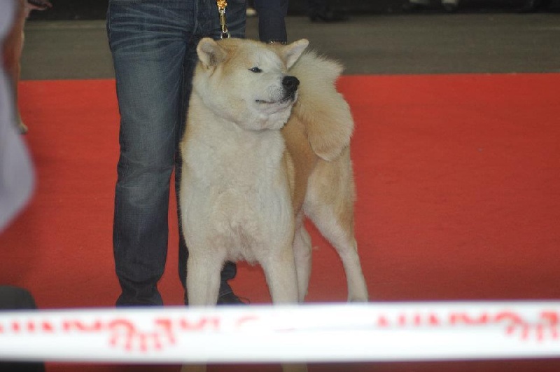 E' aya-go du Clos des Chtis - Excellent