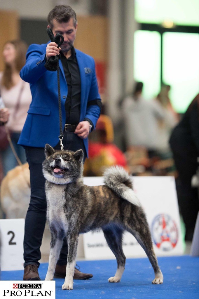 Mitsuki -go du Clos des Chtis - 1 ER EXCELLENT