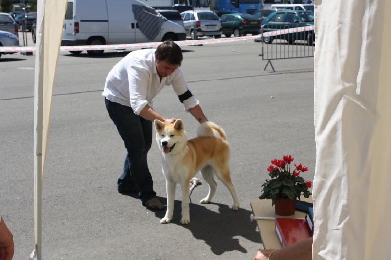 E' aya-go du Clos des Chtis - 1 er excellent +MEILLEUR JEUNE