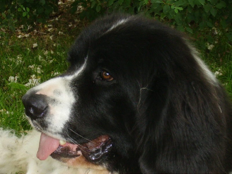 Publication : des Terres Marines Auteur : LMA