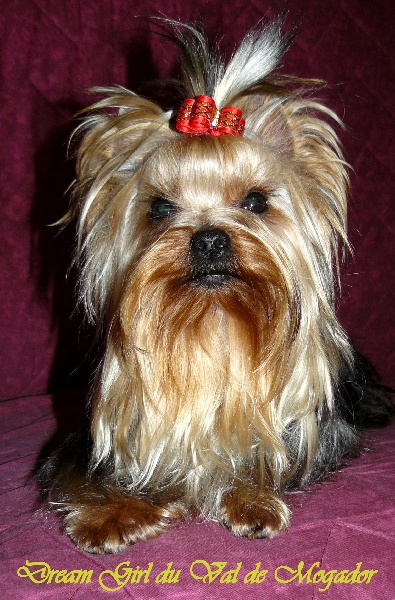 Publication : du Val de Mogador