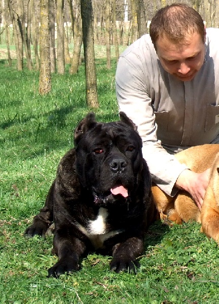 Publication : della Valle degli Orsi Ali