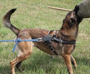 Publication : Du domaine de la Rosiere