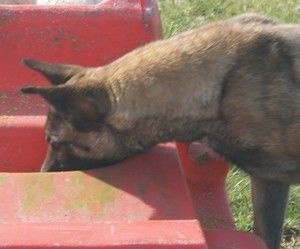 Publication : Du domaine de la Rosiere